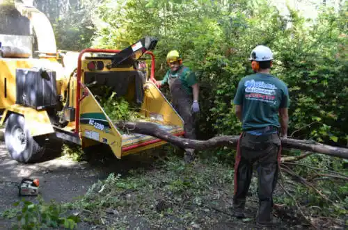 tree services Hillsboro